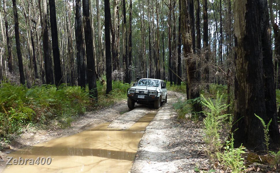 16-Laurie did get to do some 4WDing through some bog holes.JPG